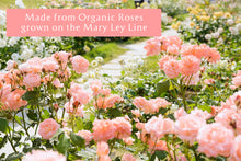 Load image into Gallery viewer, Rose Elixir Set