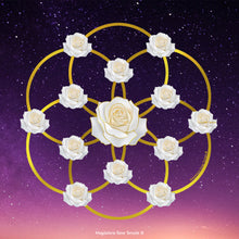 Load image into Gallery viewer, White Rose Elixir