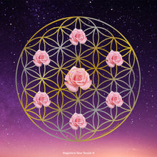 Load image into Gallery viewer, Pink Rose Elixir