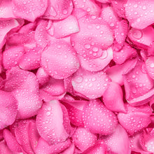 Load image into Gallery viewer, Pink Rose Elixir