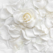 Load image into Gallery viewer, White Rose Elixir
